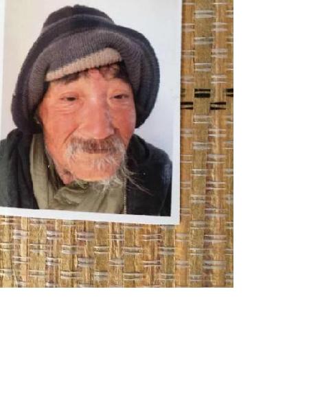 流浪人员支河4号照片，让爱回家