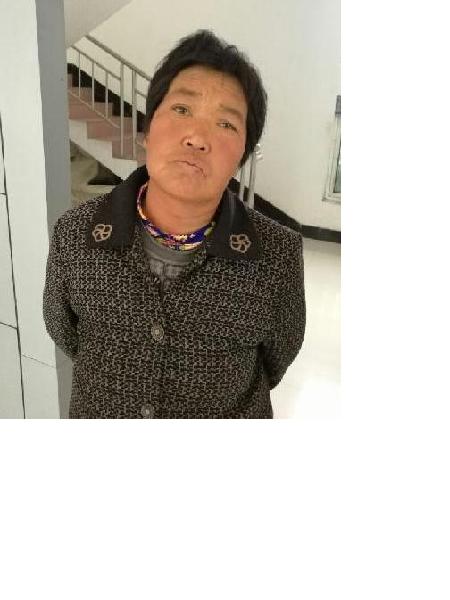 流浪人员闽女优照片，让爱回家