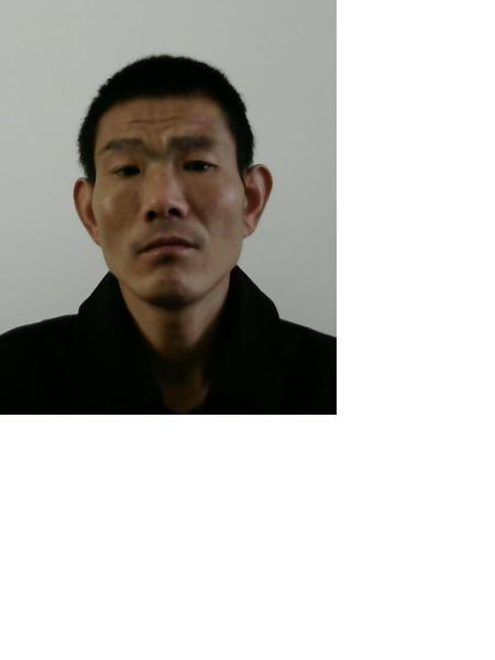 流浪人员张林林照片，让爱回家