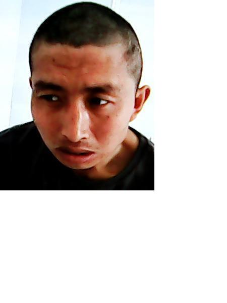 流浪人员18救10照片，让爱回家