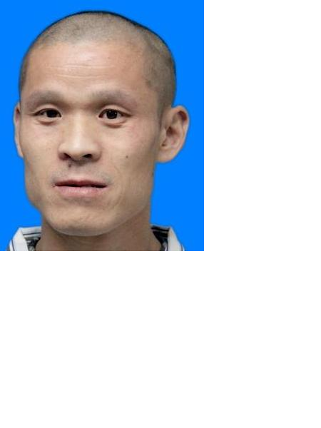 流浪人员安救医140照片，让爱回家