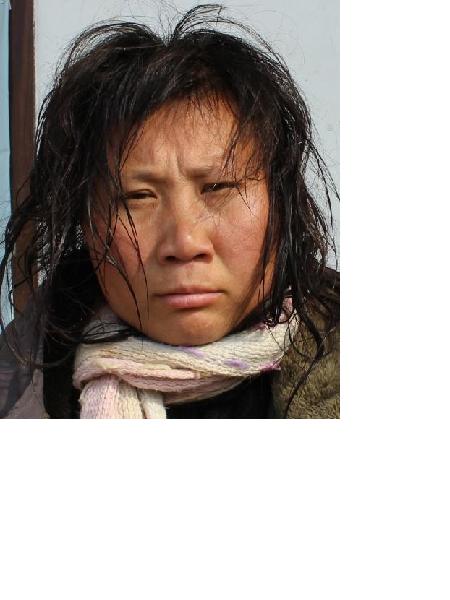 流浪人员小草照片，让爱回家
