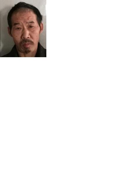 流浪人员不详照片，让爱回家