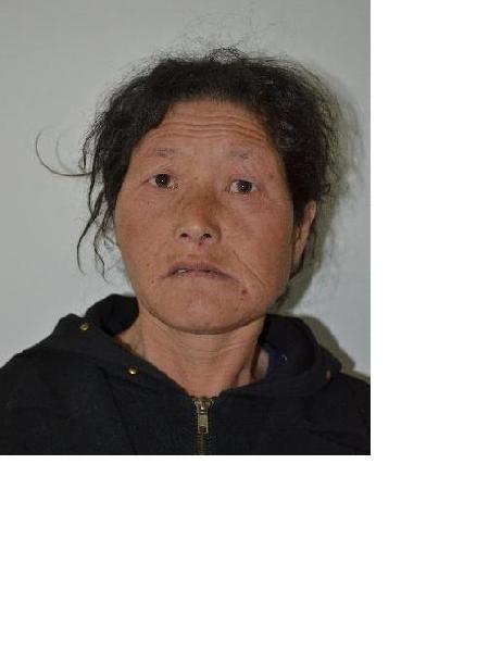 流浪人员不清照片，让爱回家