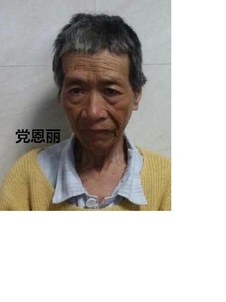 流浪人员党恩丽照片，让爱回家