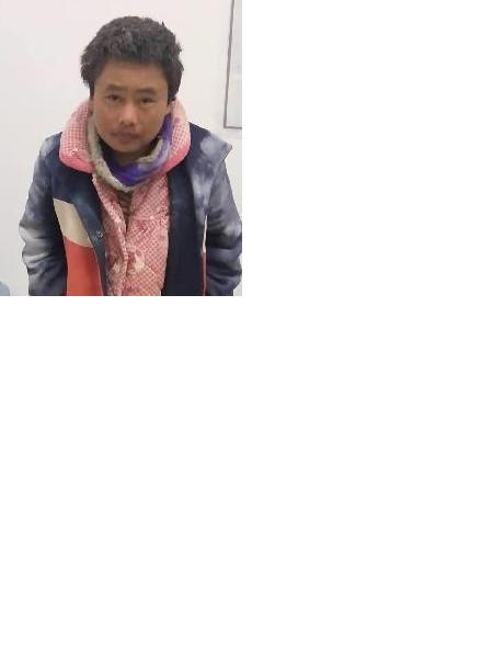 流浪人员林托44照片，让爱回家