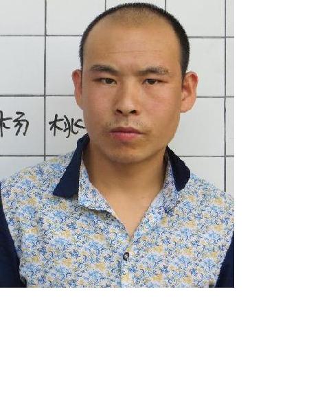 流浪人员杨桃照片，让爱回家