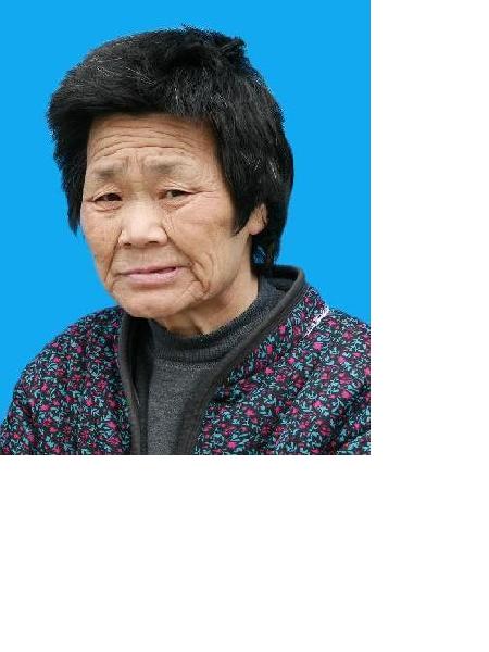 流浪人员流浪者16照片，让爱回家