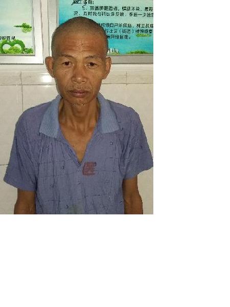 流浪人员端流68照片，让爱回家
