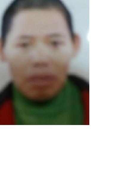 流浪人员大埔18照片，让爱回家