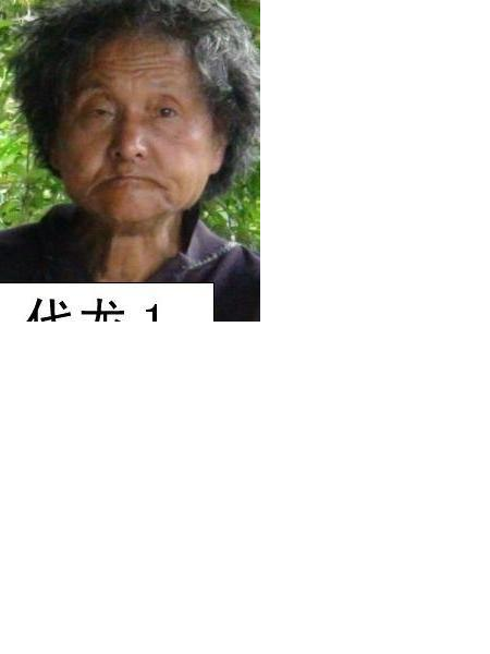 流浪人员代龙1照片，让爱回家