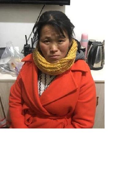 流浪人员杨  蓉照片，让爱回家