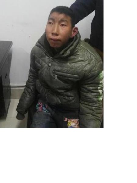 流浪人员政落叶照片，让爱回家