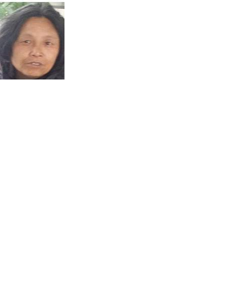 流浪人员李桂英照片，让爱回家