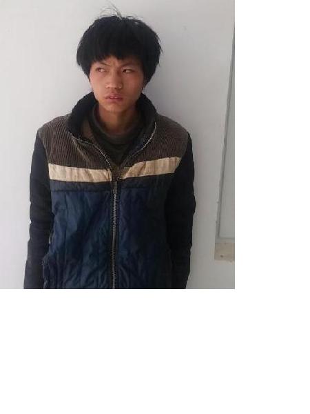 流浪人员普安7号照片，让爱回家