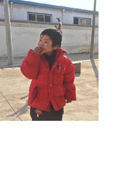 流浪人员无名氏照片，让爱回家