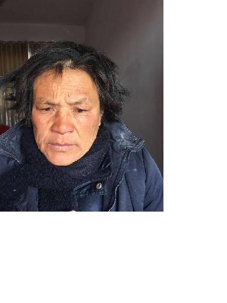 流浪人员芦岭2号照片，让爱回家