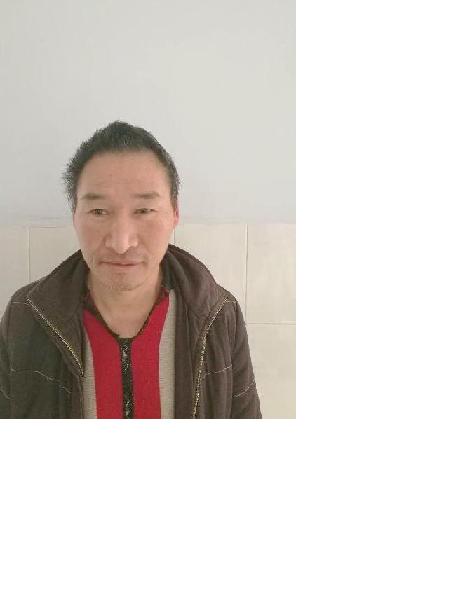 流浪人员保吉照片，让爱回家