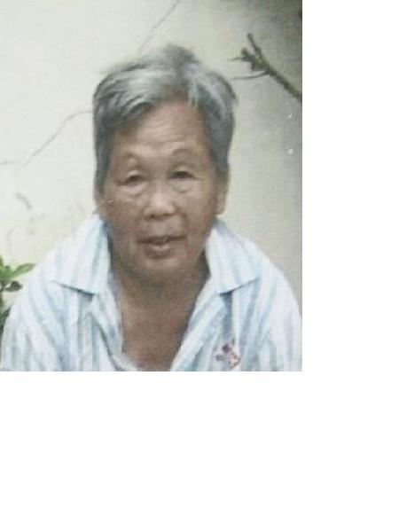 流浪人员无名氏II照片，让爱回家