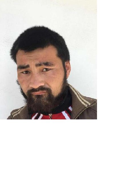 流浪人员杨庄5号照片，让爱回家