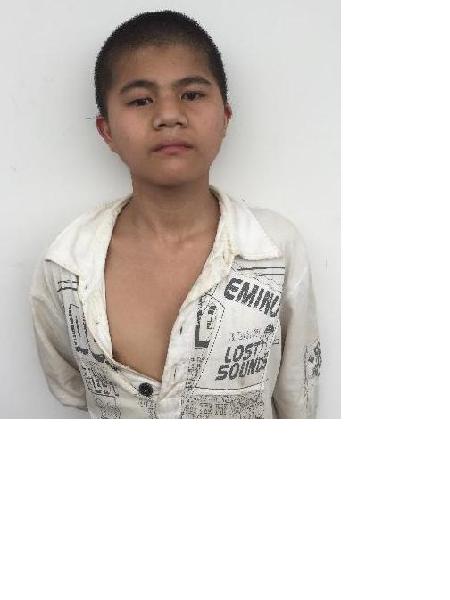 流浪人员亲和40照片，让爱回家