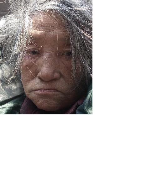 流浪人员叶淑英照片，让爱回家