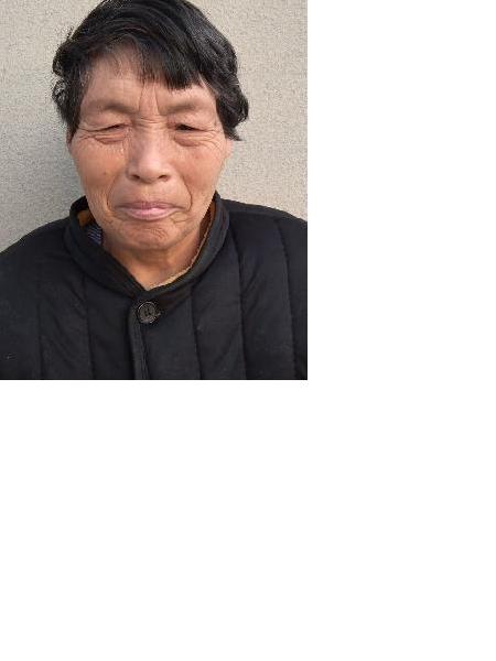 流浪人员民政叁拾捌照片，让爱回家