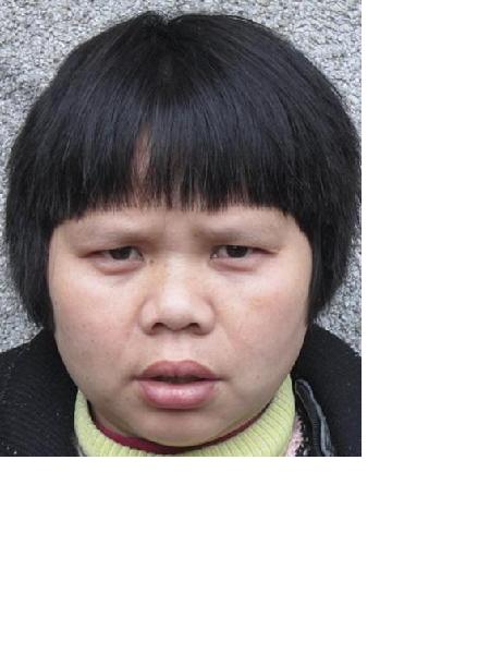 流浪人员福来丽照片，让爱回家