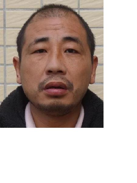 流浪人员惠救66照片，让爱回家