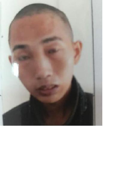 流浪人员大埔17照片，让爱回家