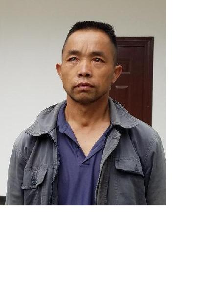 流浪人员向乔顺照片，让爱回家