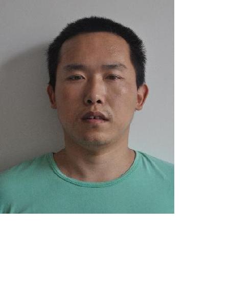 流浪人员福乐2号照片，让爱回家