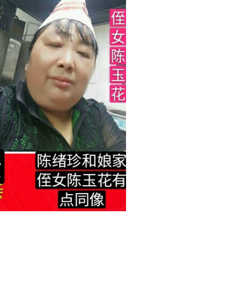 失踪人员陈绪珍照片，让爱回家