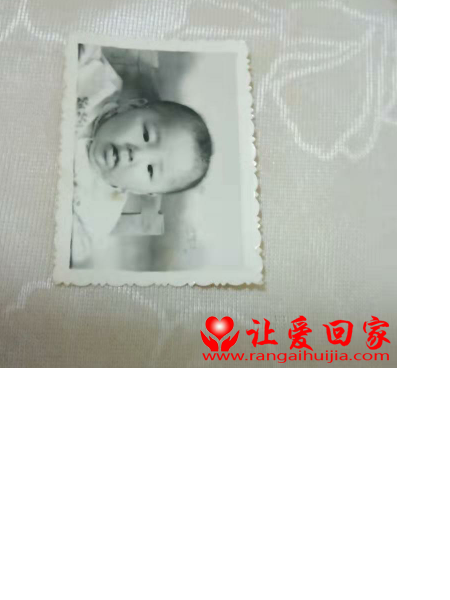 失踪人员张莉照片，让爱回家