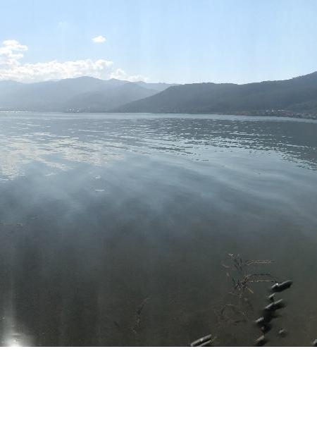 失踪人员熊锡元照片，让爱回家