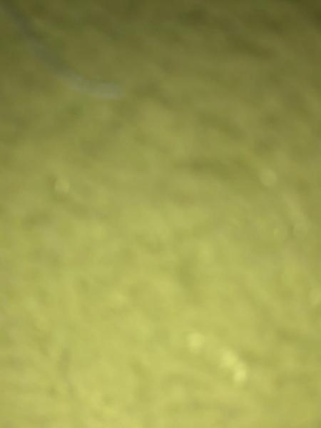 失踪人员不知道照片，让爱回家
