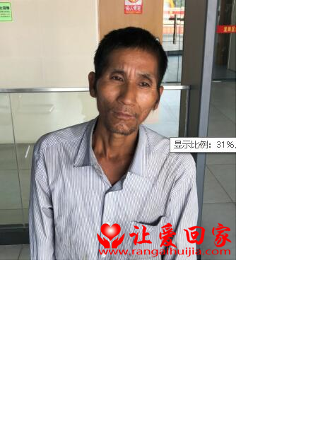 流浪人员龙130照片，让爱回家