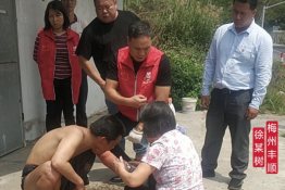 第4784个成功案例(梅州丰顺徐某树回家）