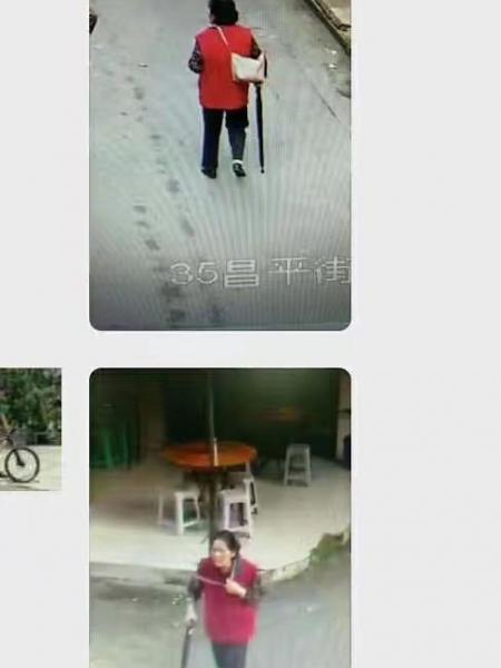 失踪人员叶合欢照片，让爱回家