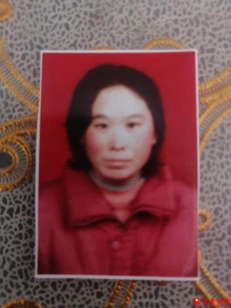 失踪人员杨合梅照片，让爱回家