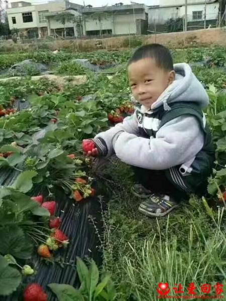 失踪人员刘家柱照片，让爱回家