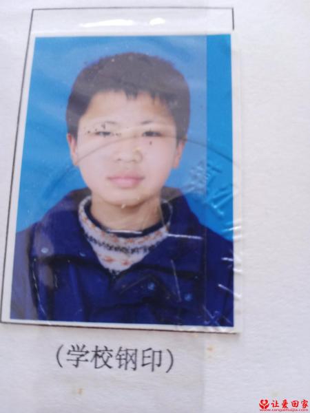 流浪人员王金鹏照片，让爱回家