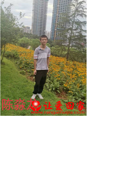 失踪人员陈淼龙照片，让爱回家