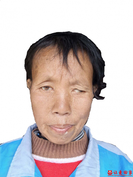 失踪人员文晓梅照片，让爱回家